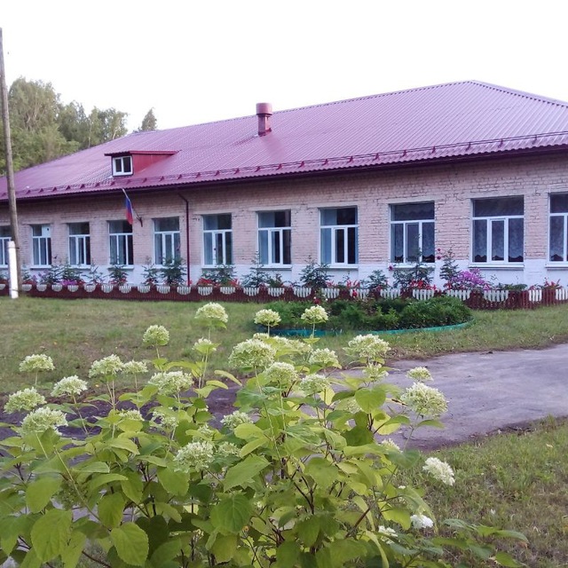 Фотография школы.